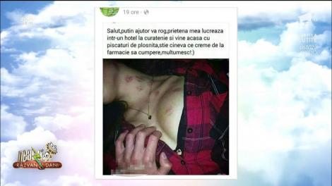 Este maaaarți! Mesajul zilei de pe Facebook a venit: ”A trecut iarba a venit vara hai sa ne inperechiem”