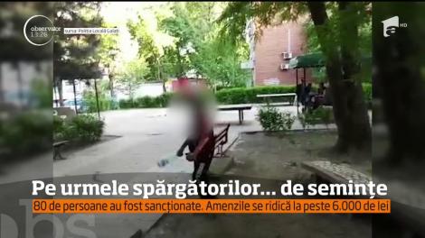 Spărgătorii de semințe, puși să facă curat în parc
