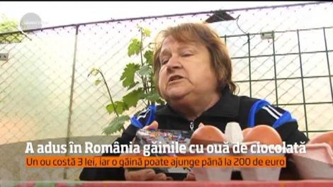 Cum arată găina care face ouă de ciocolată! Privești și te minunezi!