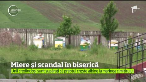 Credincioșii sunt foc și pară! Un preot din Vaslui și-a supărat enoriașii, după ce şi-a adus albinele la marginea cimitirului: "Nu cred să stea albina pe mormintele cuiva"