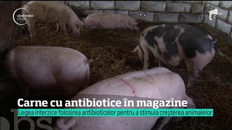 Carnea cu antibiotice nu este un mit. &Icirc;n urma controalelor, autorităţile de la noi au găsit medicamente &icirc;n sute de kilograme de carne de porc, de vită sau oaie şi chiar &icirc;n miere