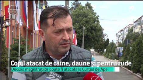 Doi părinţi care şi-au văzut copilul mutilat de câini, în curtea spitalului din Târgu Bujor, vor primi o mie de euro despăguburi