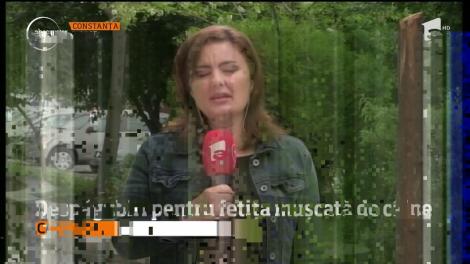 PREMIERĂ în ROMÂNIA! Despăgubire istorică pentru o copilă atacată de câini