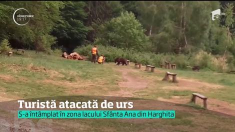 O turistă a ajuns la spital după ce a fost atacată de urs în zona lacului Sfânta Ana