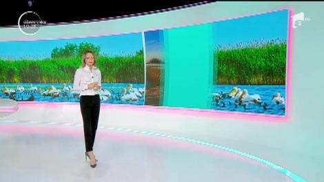 Gură Portiţe, un colț de răi &icirc;n inima Deltei