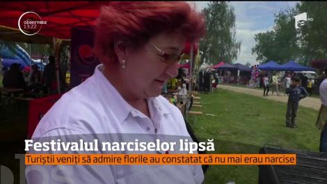 Festivalul Narciselor, organizat în cea mai mare rezervaţie europeană, i-a lăsat pe vizitatori cu un gust amar