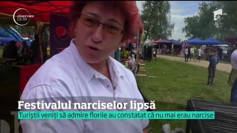 Festivalul Narciselor fără narcise, paradoxul românesc care a dezamăgit sute de oameni