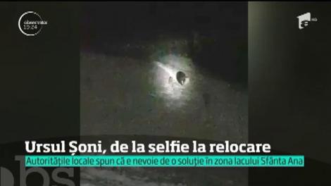 Cazul turistei muşcate de urs în timp ce îşi făcea un selfie reaprinde scandalul împuşcării animalelor