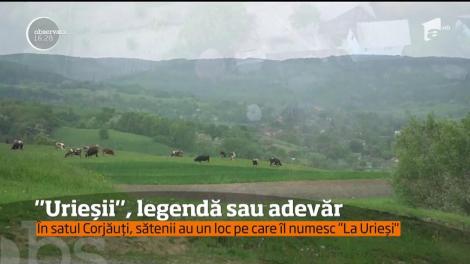 Povestea îți dă fiori! Sub o bucată de pământ, pe care nu crește un fir de iarbă, ar fi îngropat un copilaș