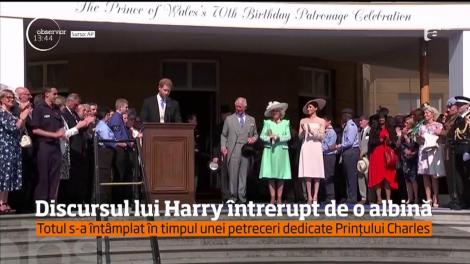 Prinţul Harry şi Meghan şi-au îndeplinit primul angajament oficial în calitate de soţ şi soţie