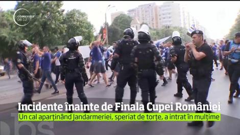 Cupa Românei s-a adjudecat pe Arena Naţională din Capitală, însă finala a fost umbrită şi de noi incidente cu suporterii