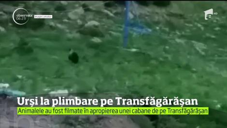Imagini spectaculoase surprinse pe Transfăgărăşan