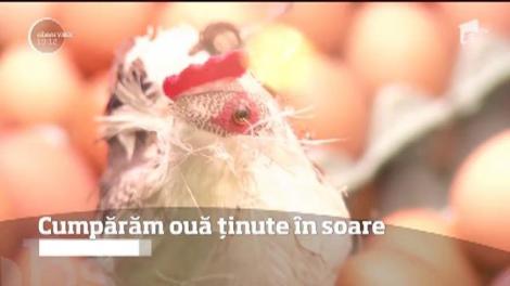 Cumpărăm ouă ținute în soare