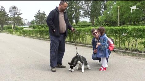 O căţeluşă de rasă a devenit terapeut pentru o fetiţă diagnosticată cu autism!