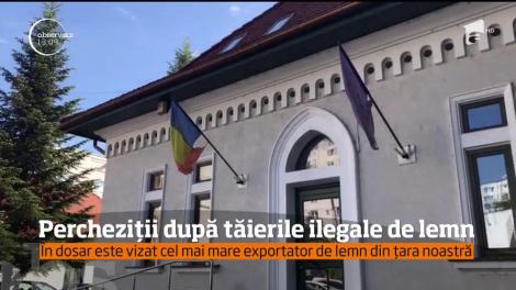 Percheziții după tăierile ilegale de lemn. În dosar este vizat cel mai mare exportator de lemn din România