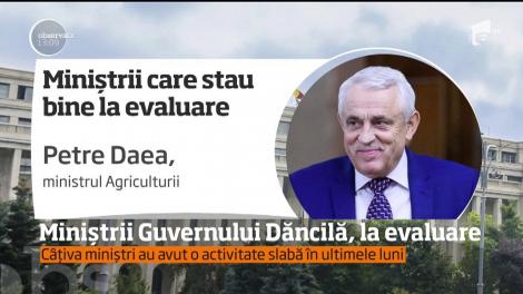 Miniștri Guvernului Dăncilă, la evaluare. În perioada iunie-iulie, toți miniștrii vor trece printr-o analiză