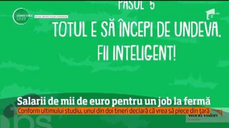 Salarii de mii de euro pentru un job la fermă. Un tractorist poate câștiga până la 2.000 de euro pe lună!