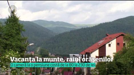 Vacanță la munte, raiul orășenilor!