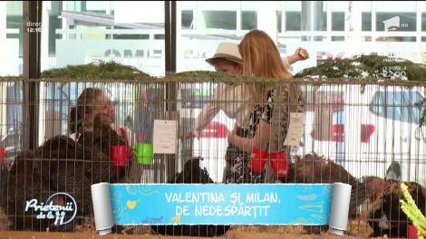 Valentina Pelinel și Milan, de nedespărțit. Vedete susține că cei doi petrec foarte mult timp împreună