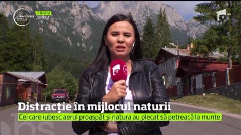 Distracție în mijlocul naturii. Cei care iubesc aerul proaspăt și natura au plecat să petreacă la munte minivacanța de 1 Iunie