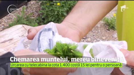 Chemarea muntelui, mereu binevenită. Mii de turiști au ales să petreacă vacanța la munte