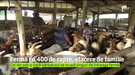 Fermă cu 400 de capre, afacere de familie. Cei doi soți și tatăl bărbatului se ocupă singuri de întreaga fermă