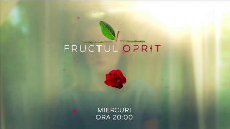 Fructul Oprit, episodul 21 online.  Sonia, adevărul care zguduie casa Caragea. Este însărcinată: "Nu poți să te duci la Ana și să-ți abandonezi copilul"