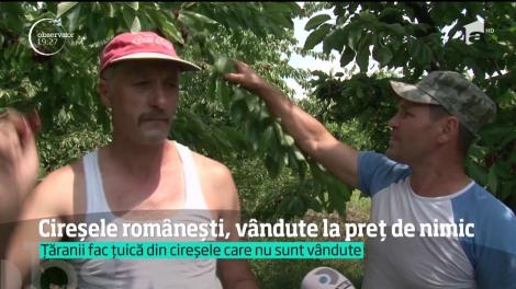 Cireșele românești, vândute cu doi lei! În urmă cu o lună, aceleaşi fructe, din import, valorau aproape cât un gram de aur