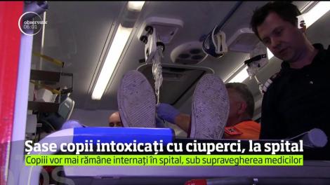 Şase copii, cu vârste cuprinse între 5 şi 16 ani, au ajuns de urgenţă la spital după ce s-ar fi intoxicat cu ciuperci