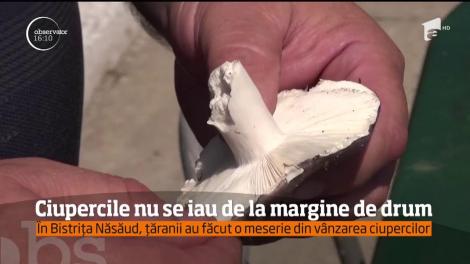 Ciupercile, comestibile sau nu, continuă să fie vândute la margine de drum.