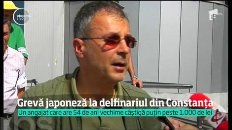 Grevă japoneză la Delfinariul din Constanţa! Zeci de angajați, revoltați după ce le-au fost tăiate salariile! 