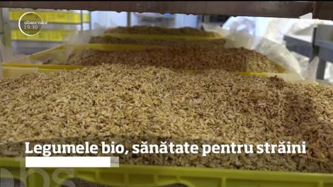 Fermierii îşi dezvoltă afacerile cu produse 100% naturale. Se orientează către export, pentru că românii preferă produsele ieftine, chiar dacă sunt pline de chimicale