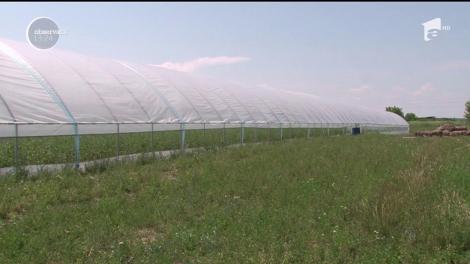 Afacere de familie cu produse 100% naturale