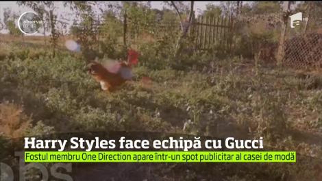 Harry Styles şi o găină. Este noua pereche, destul de neobişnuită, pe care mizează Casa Gucci pentru un sezon de succes