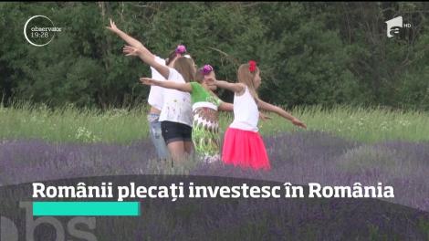 Românii plecaţi la muncă în străinătate au început să investească banii în ţară