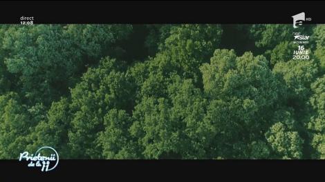 Videoclip! Feli , viitoarea mămică, a cântat la „Prietenii de la 11”, "Rațele și vânătorii", piesa copiilor de ieri, adulților de azi