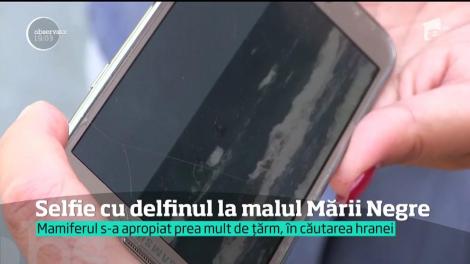 Imagini revoltătoare surprinse în Marea Neagră. Un delfin s-a apropiat prea mult de ţărm şi a ajuns în mâinile unor turişti