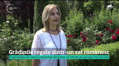 Grădinile regale dintr-un sat românesc