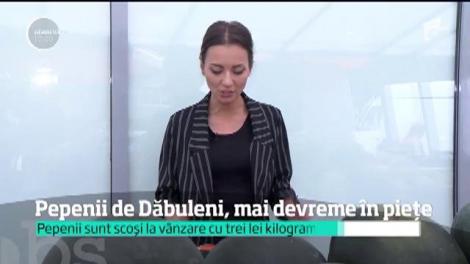 Dulci şi zemoşi, pepenii de Dăbuleni şi-au făcut apariţia &icirc;n pieţe