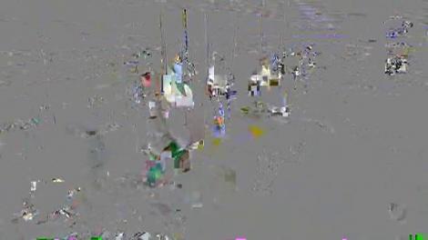 Tema testului individual: Creveți de Argentina