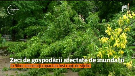 Zeci de gospodării afectate de inundații. Furtunile au afectat deja județele Timiș, Caraș-Severin, Arad și Bihor