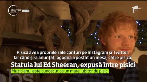 Ed Sheeran va fi reprezentat în Muzeul Figurilor de Ceară de la Londra. Statuia lui, prezentată într-un mod INEDIT