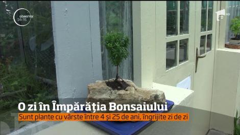 Explozie de culoare şi verdeaţă, în aceste zile, în Grădina Botanică din Cluj-Napoca!