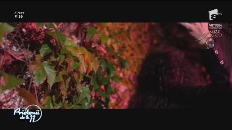 Glance feat. Elena Ionescu - ”Ploaia și focul”