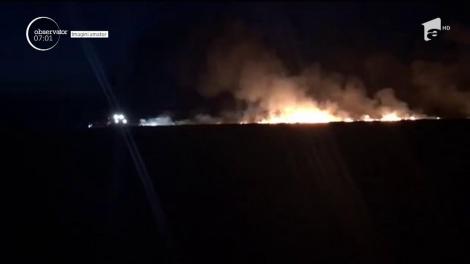 Incendiu de vegetație în județul Constanța