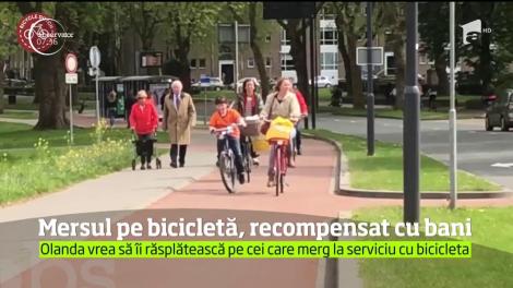 Olanda vrea să îi răspândească pe cei care merg la serviciu cu bicicleta