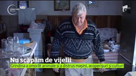 Furtuni puternice au măturat județele Teleorman și Arad