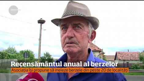 Recesământul anual al berzelor