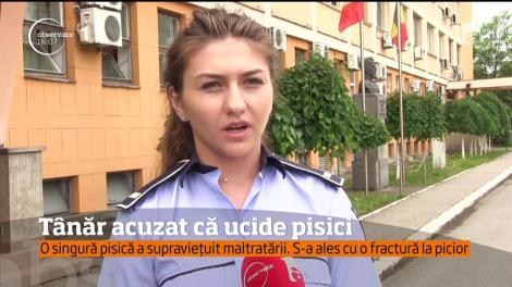 Un timișorean de 22 de ani este acuzat că ucide pisici