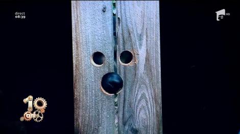 Smiley news! Cățelul și gările din gard